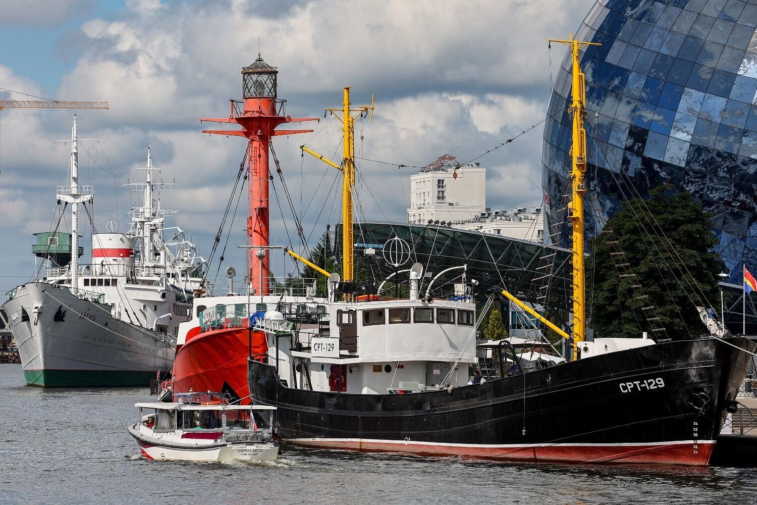 Средиземноморская диета для избранных. Как селедка с минтаем превратились в деликатес