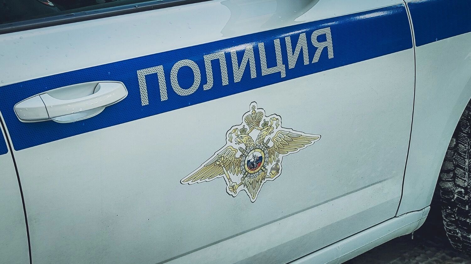 Полиция начала проверку из-за избиения женщины подростком в Альметьевске