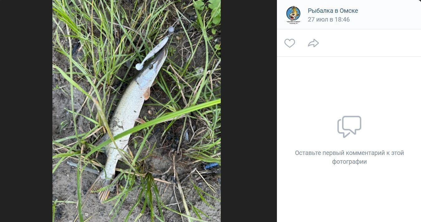 Приключения рыбака в районе села Новотроицкое