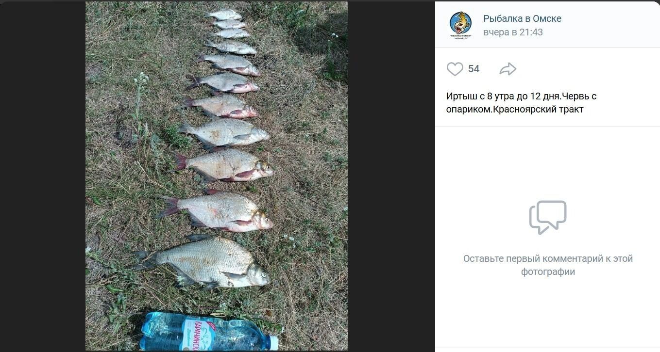 Результаты рыбалки на Иртыше в районе Красноярского тракта