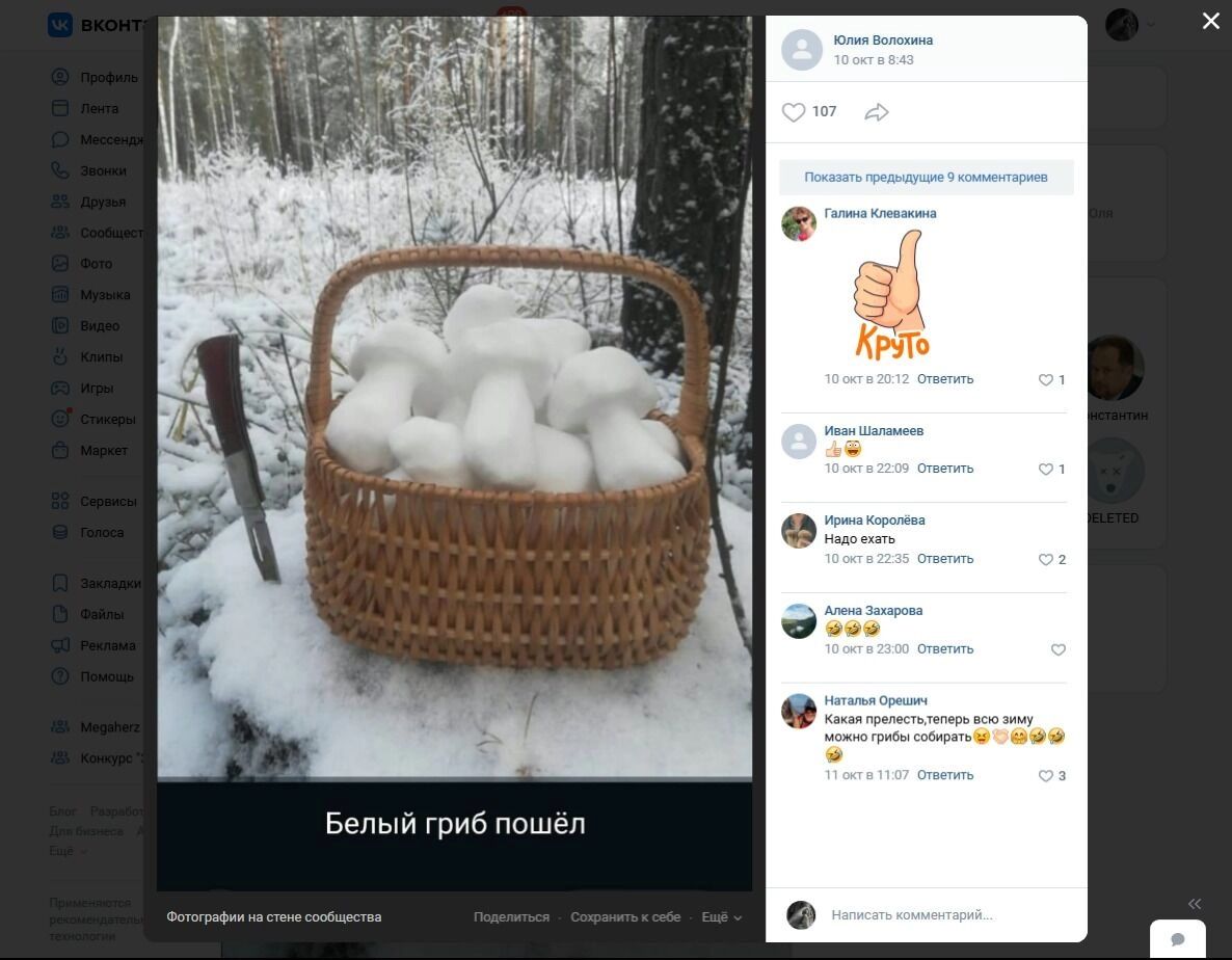 Белый гриб пошел в Дачном