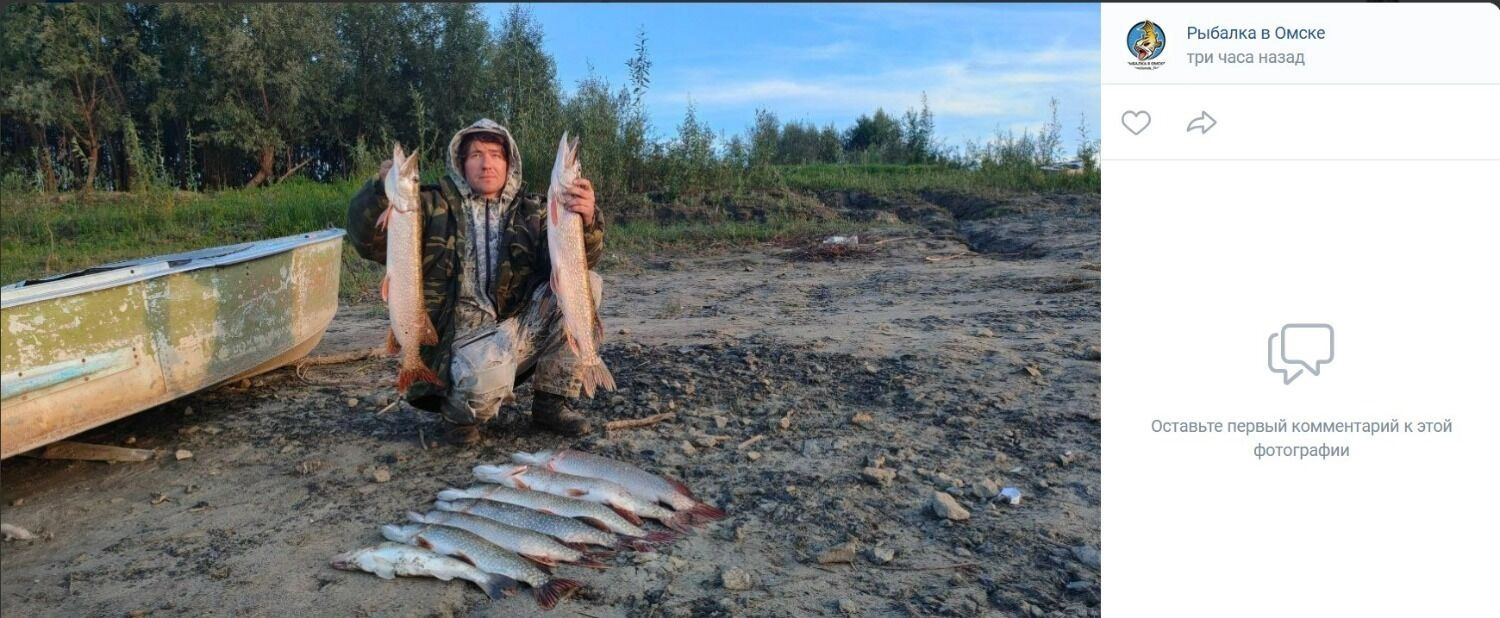 40 щук выловили рыбаки на севере Омской области