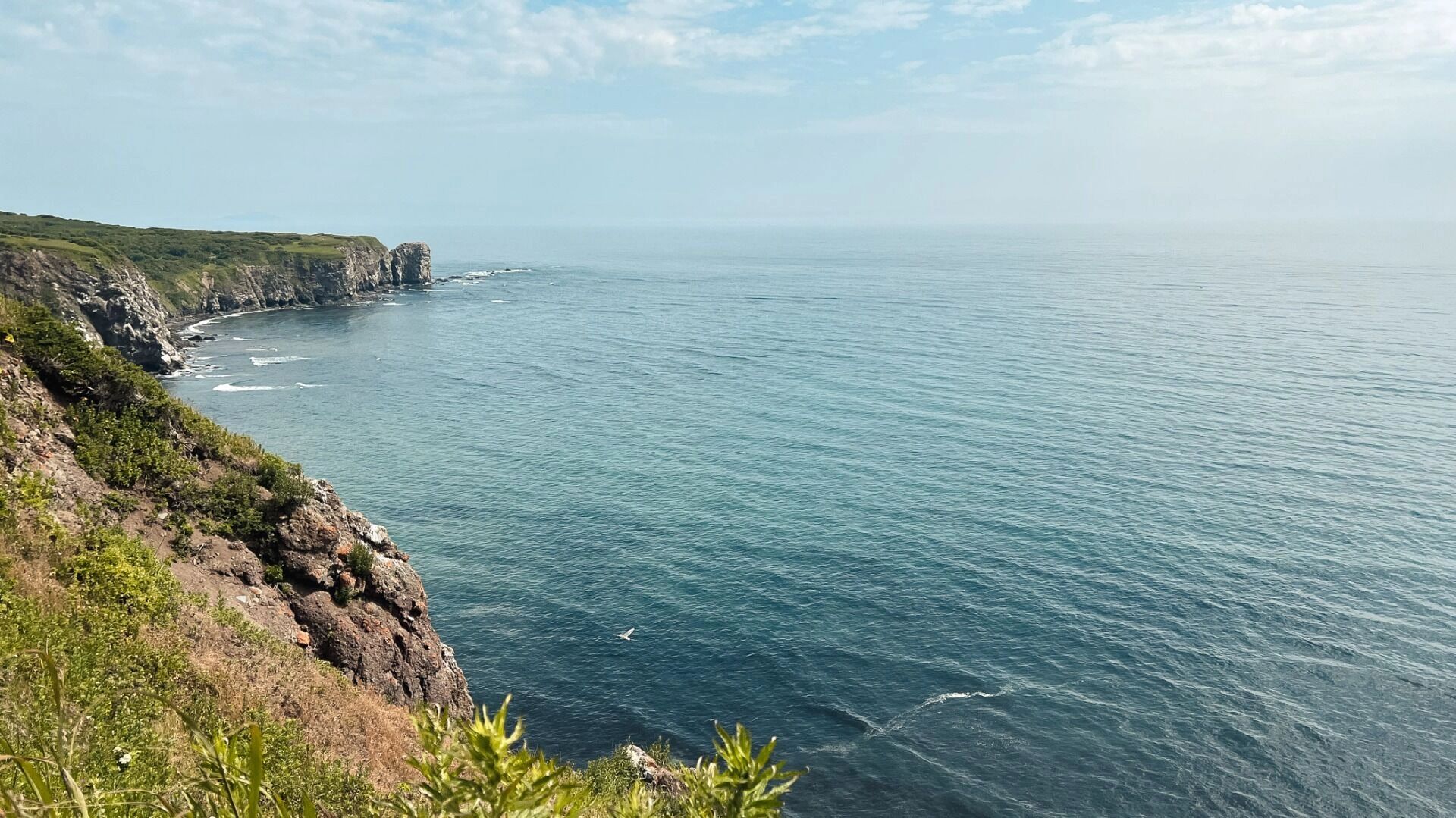 Водолазы повторно обследовали дно моря в поисках студентки из Ростова Цомартовой