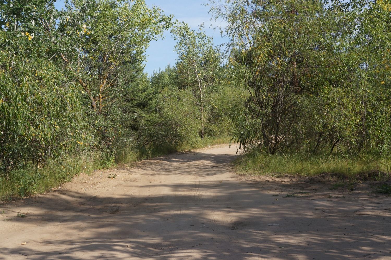 нудистки молодые 