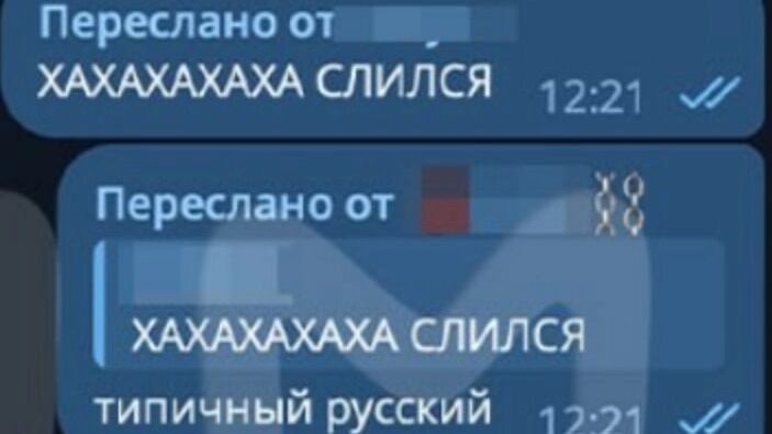 Не только Архангельск: новый учебный год начался с эпидемии жестокости