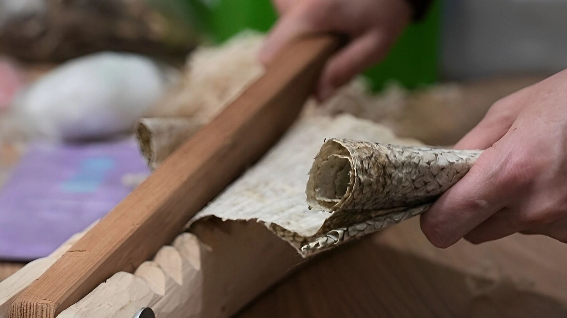 Аксессуар из рыбьей кожи приглашают изготовить жителей Хабаровского края