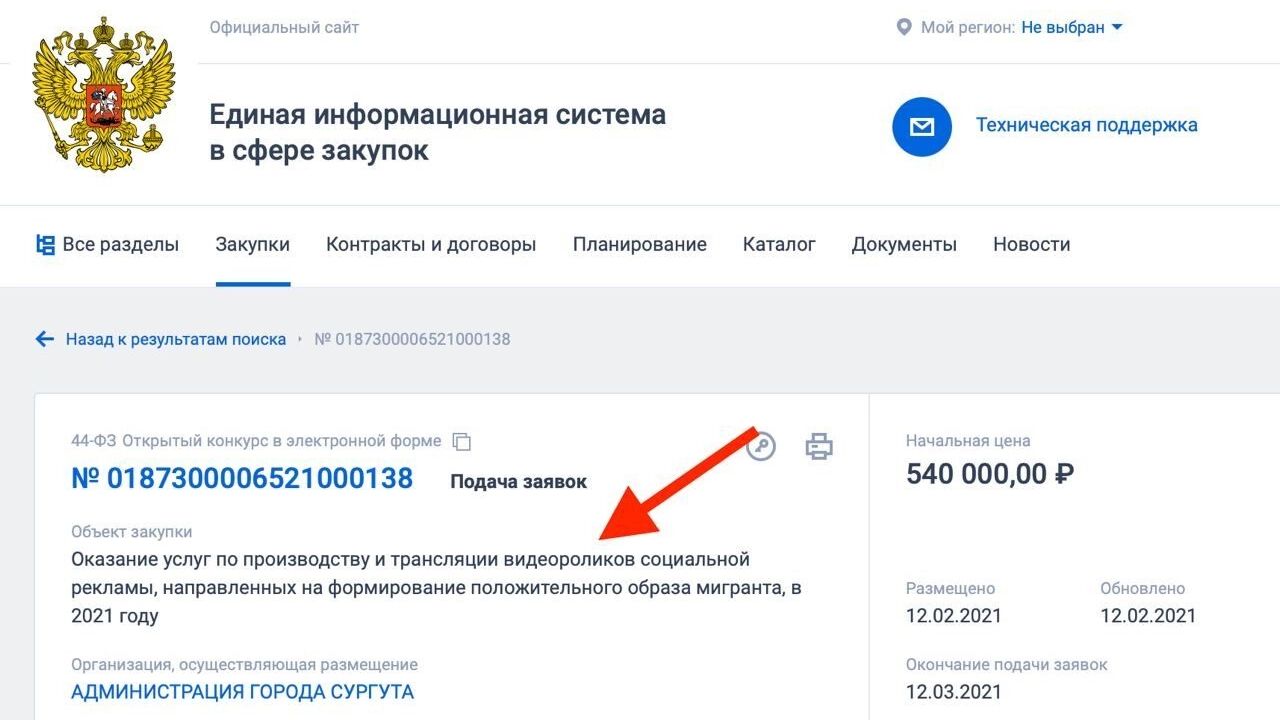 Скриншот госзаказа на продвижение положительного образа мигрантов