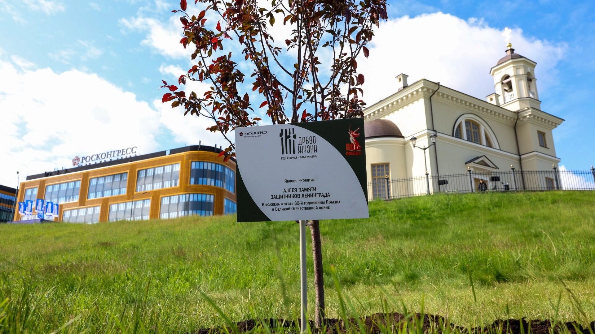 ПМЭФ начал работу с памятного мероприятия в честь защитников Ленинграда