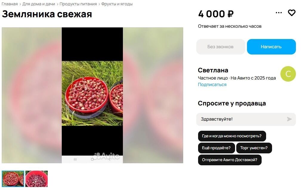 Цена за ведро земляники на 10 литров