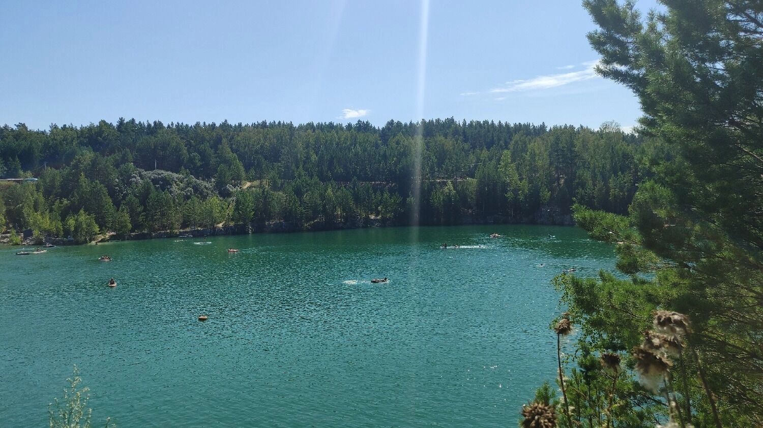 Водоем летом