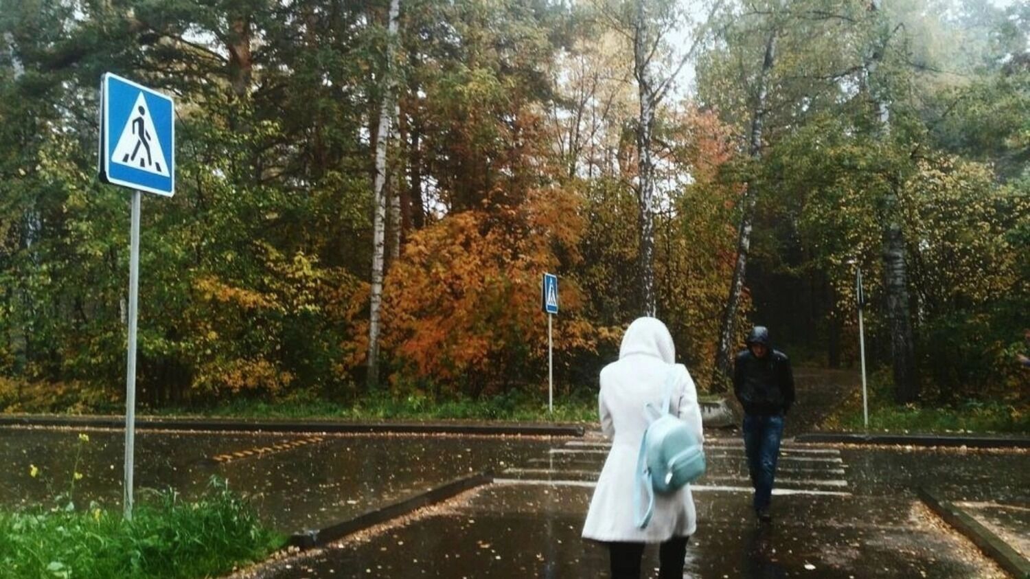 Осень в Новосибирске