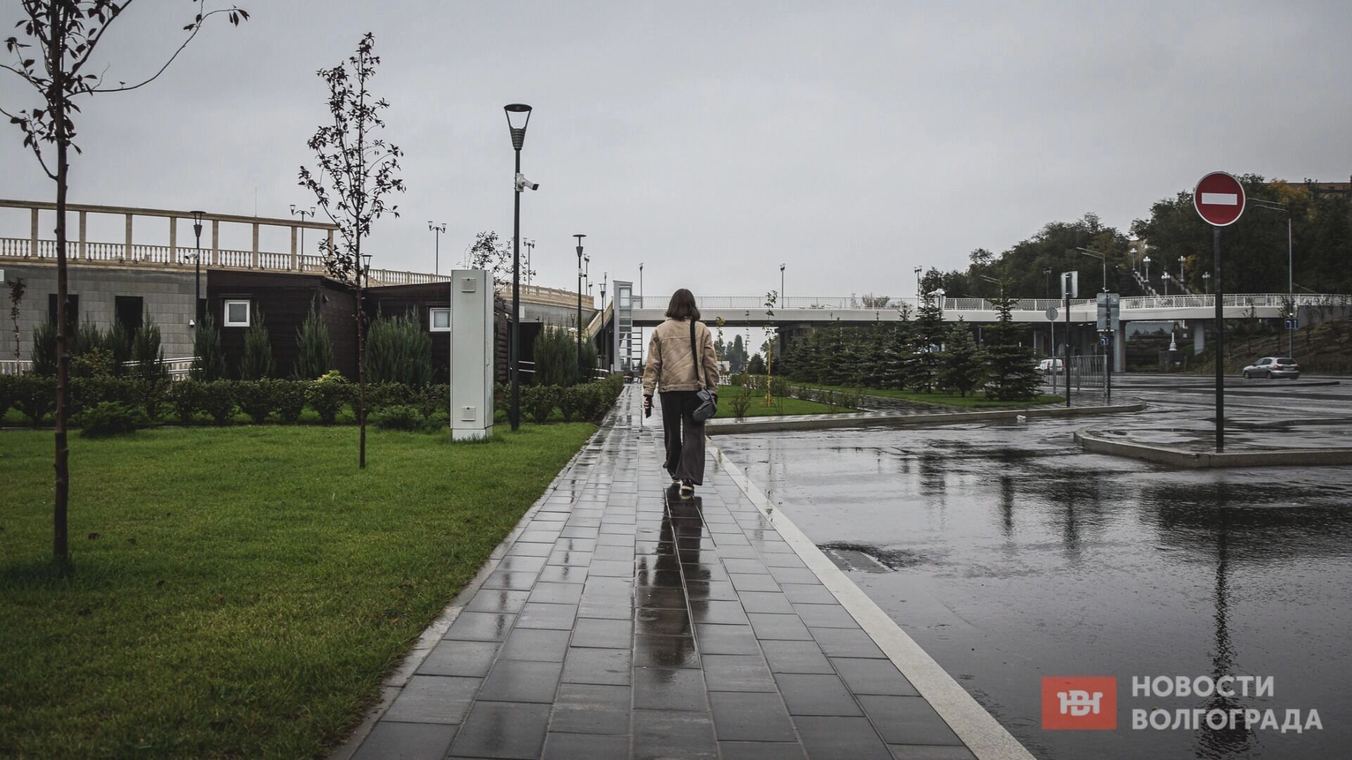 Теплый конец ноября обещают синоптики волгоградцам