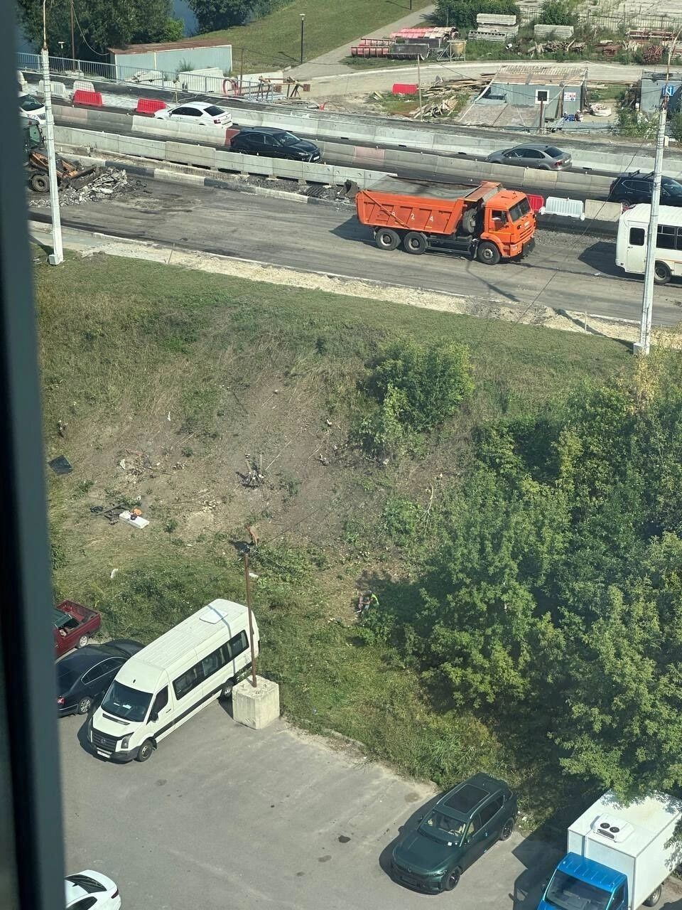 Деревья возле Нового моста в Белгороде, часть из&nbsp;которых вырубили