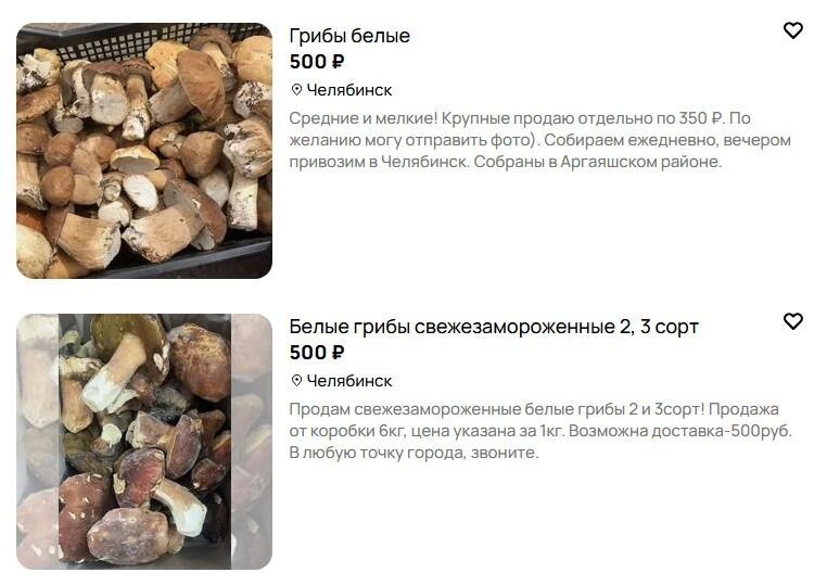 Крупные белые грибы ценят меньше, чем мелкие