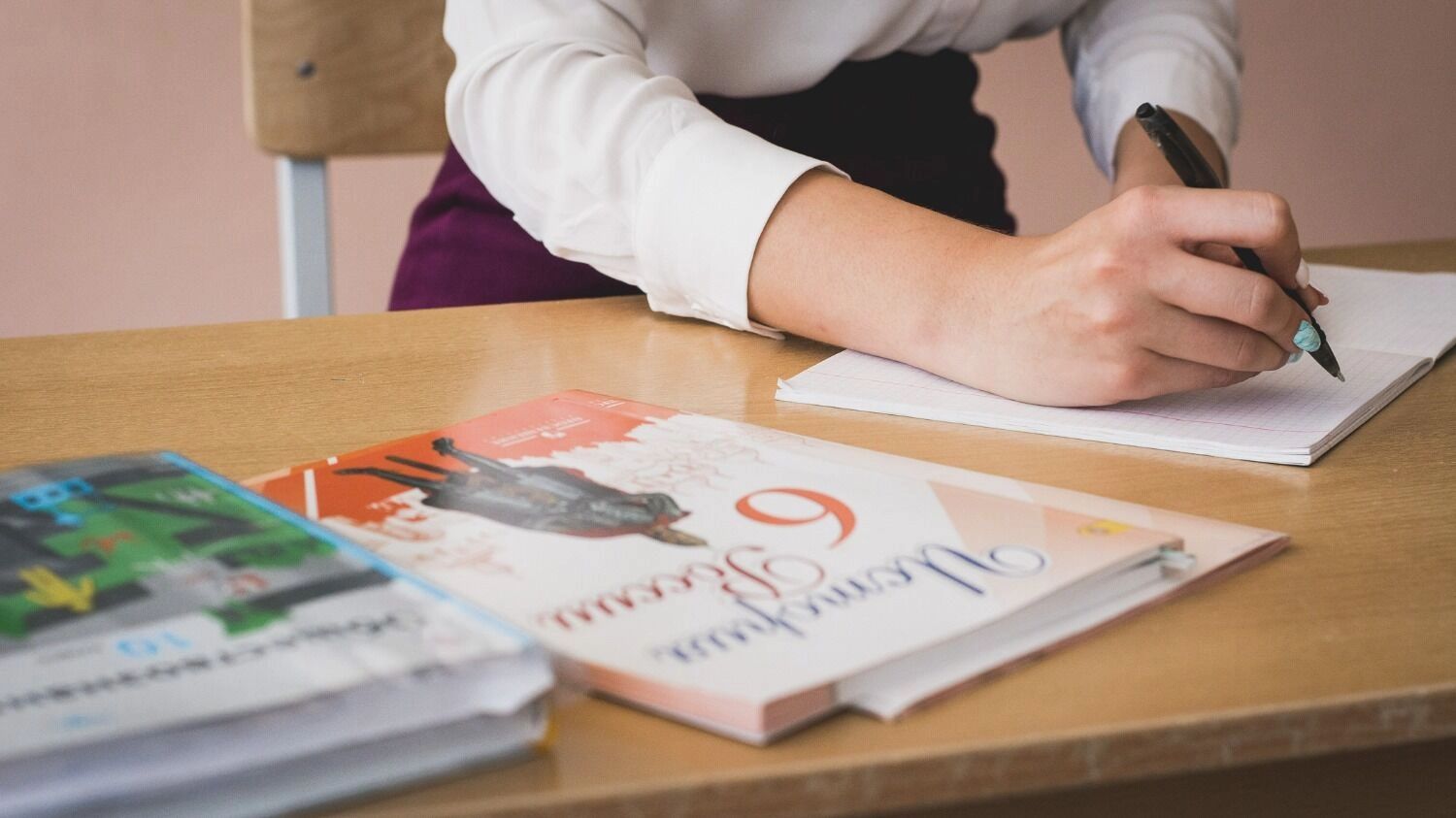 В&nbsp;татарстанских школах работают около 600&nbsp;студентов