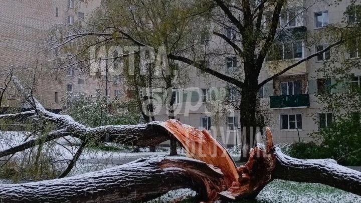 Оперативные службы планировали справиться с последствиями стихии за два-три часа, но ситуация серьезнее