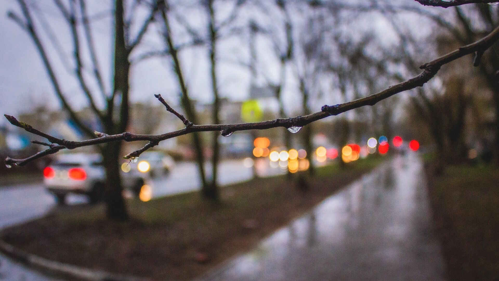 До +17°С опустится температура воздуха к выходным в Удмуртии
