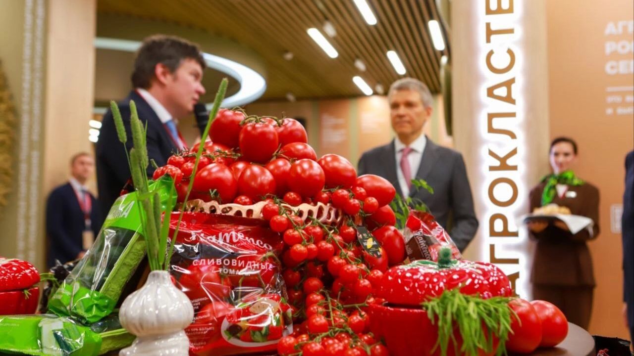 ГК «Рост» обеспечивает овощами 16 регионов России