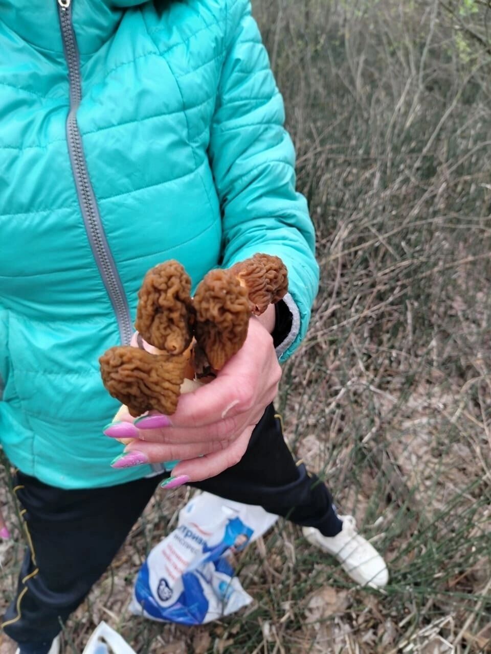 Сормовский район Нижнего Новгорода