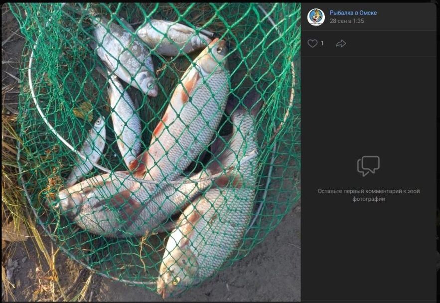 Скриншоты «фото-итогов» рыбалки за&nbsp;деревней Копейкино