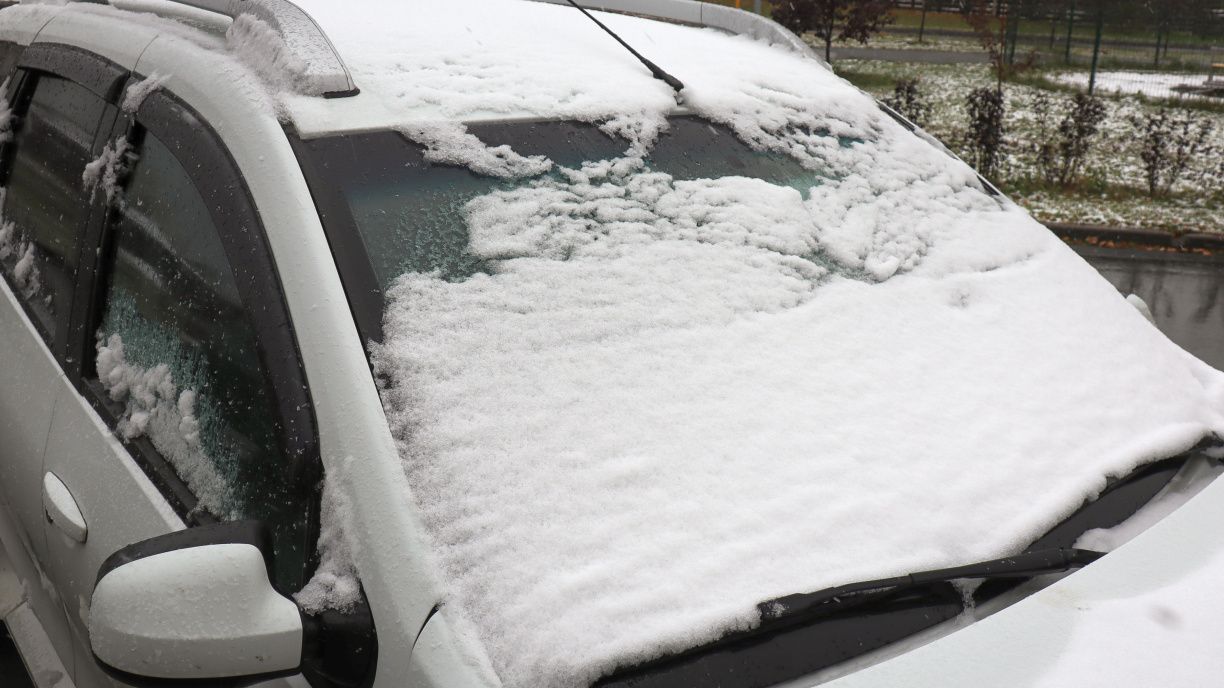 В Петербурге ввели «желтый» уровень опасности из-за ветра и гололеда