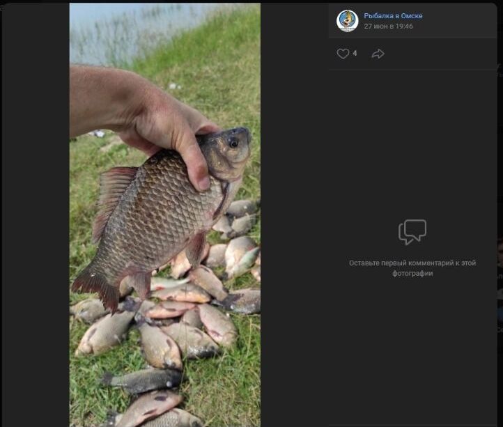 Скриншот фотографии улова, добытого в районе деревни Увальная Бития