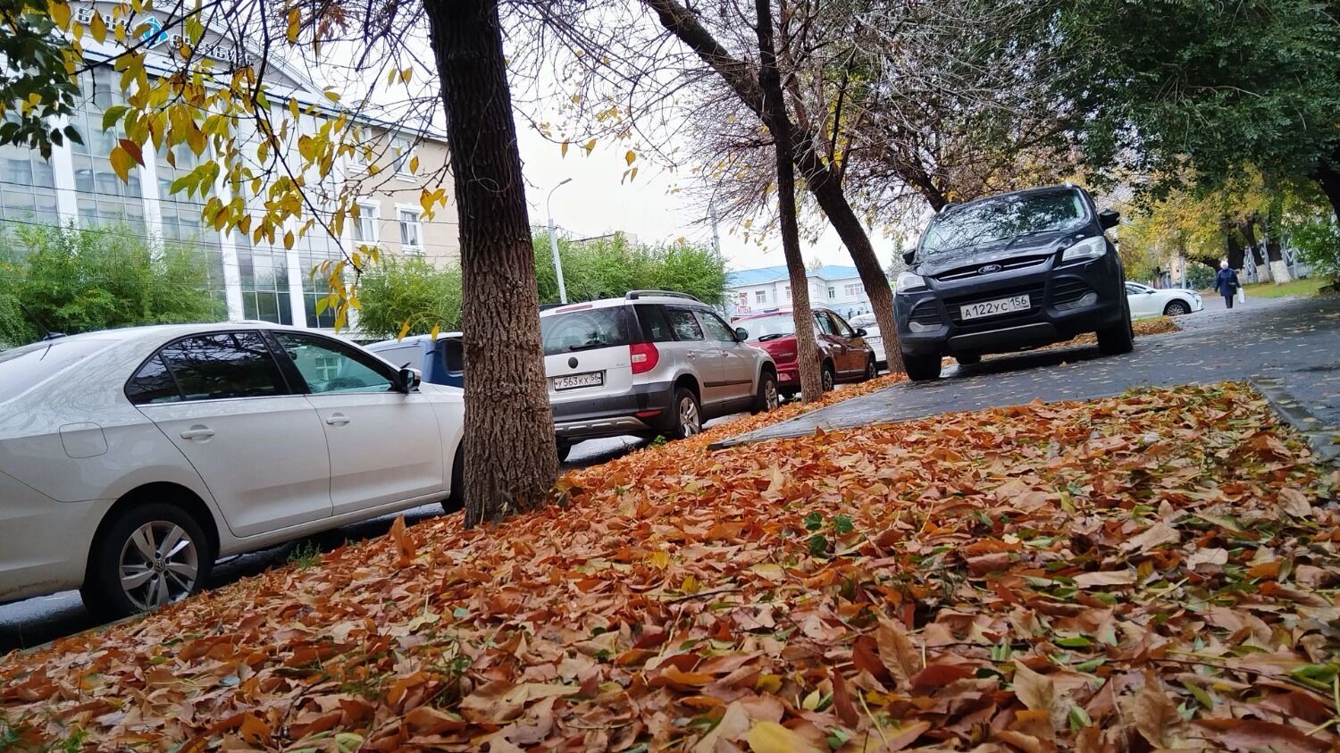 Осень в&nbsp;городе