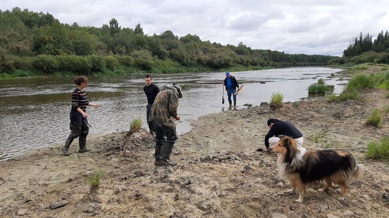 Палеонтологи за работой