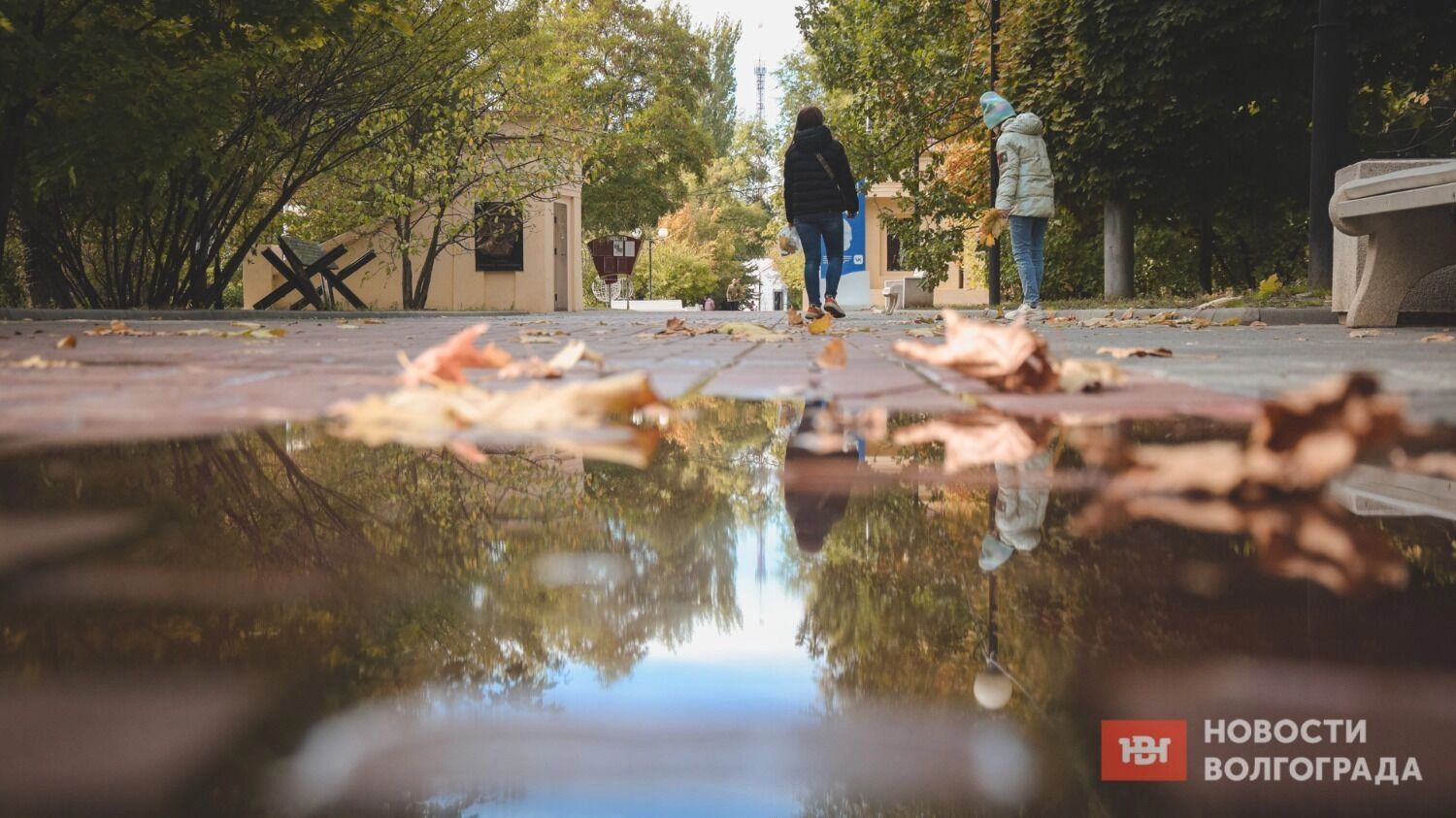 Осень в Волгограде