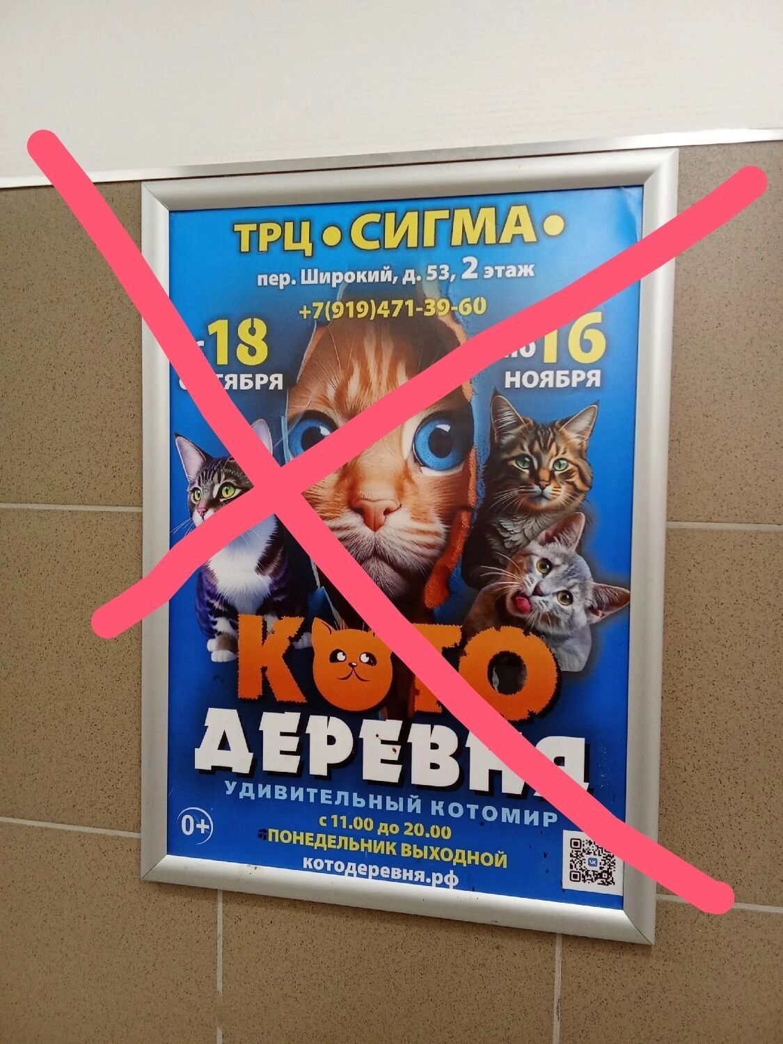 Зоозащитники разместили на&nbsp;своей станице в&nbsp;соцсети перечеркнутую афишу «Котодеревни»