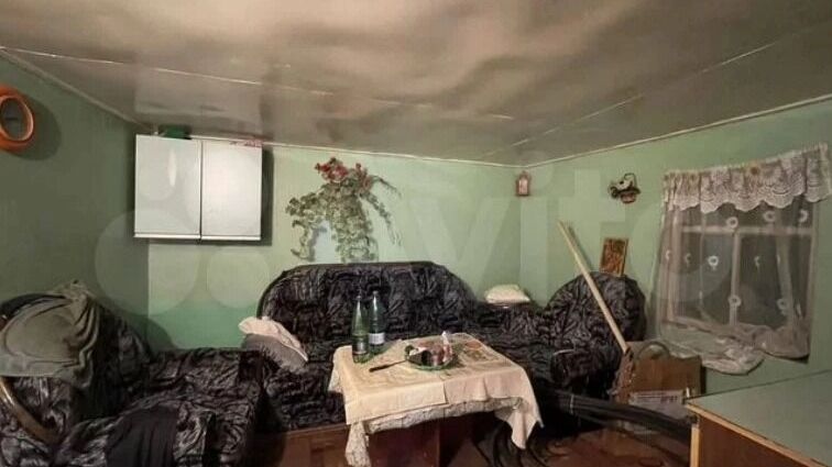 Дом добротный, да&nbsp;и&nbsp;сад хорош