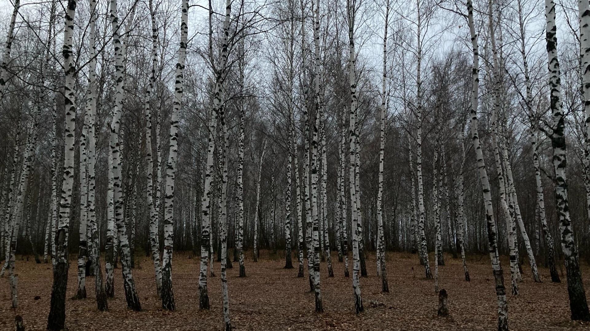 Zeta Jons va Ketrin yalangoch video