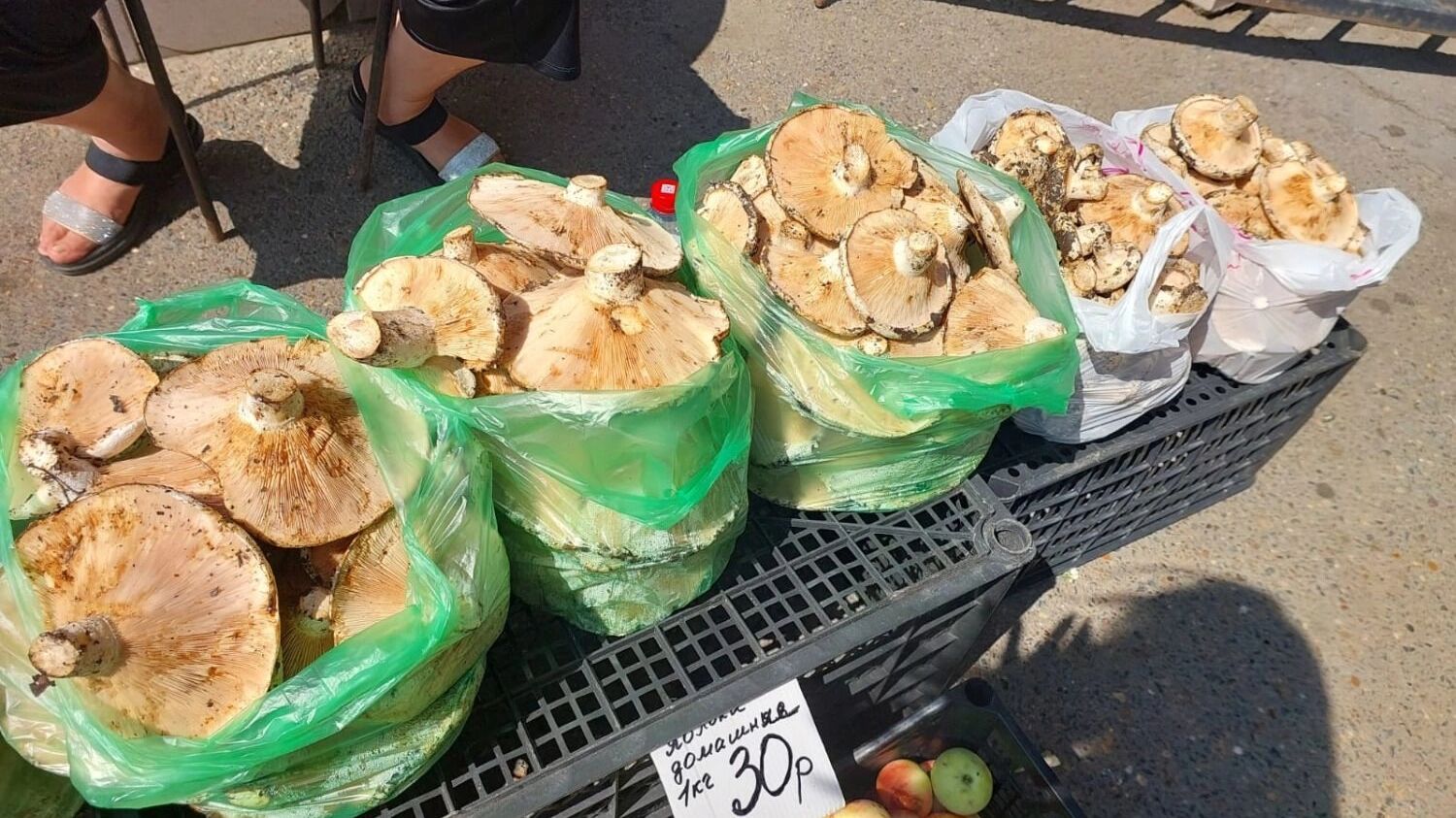 Грибы на рынке Оренбурга