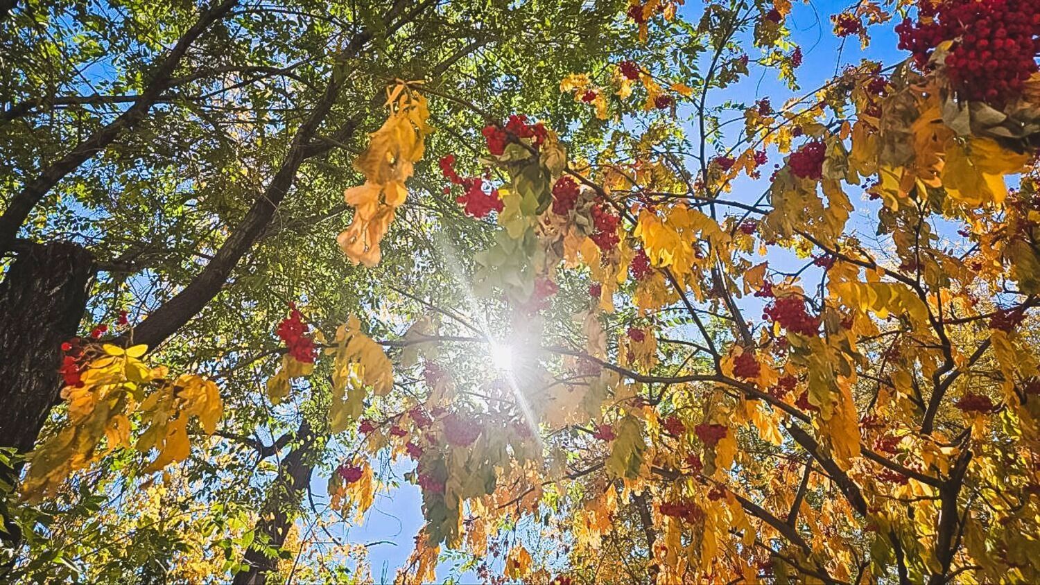 Октябрь еще подарит солнечные дни