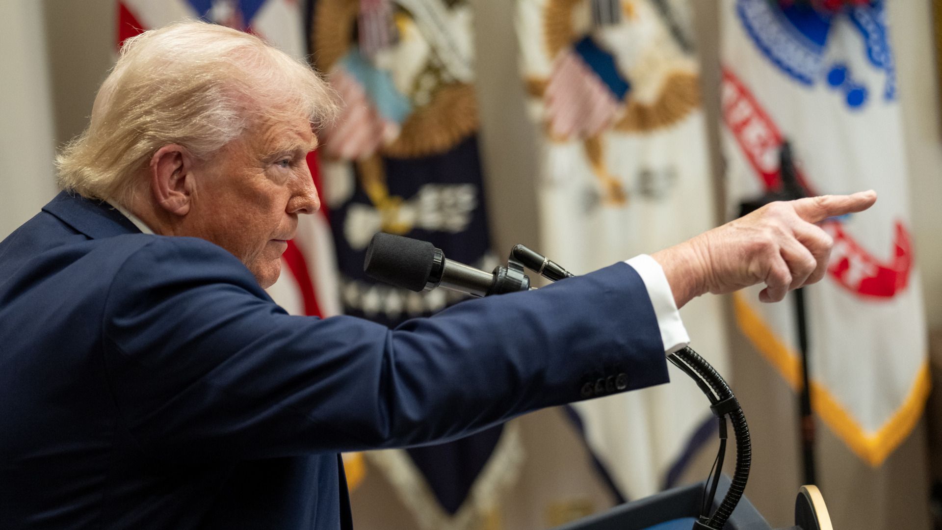 �������� ���������: ����.