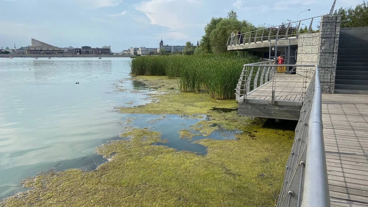 Цветение воды в&nbsp;Казани приобрело пугающие очертания.