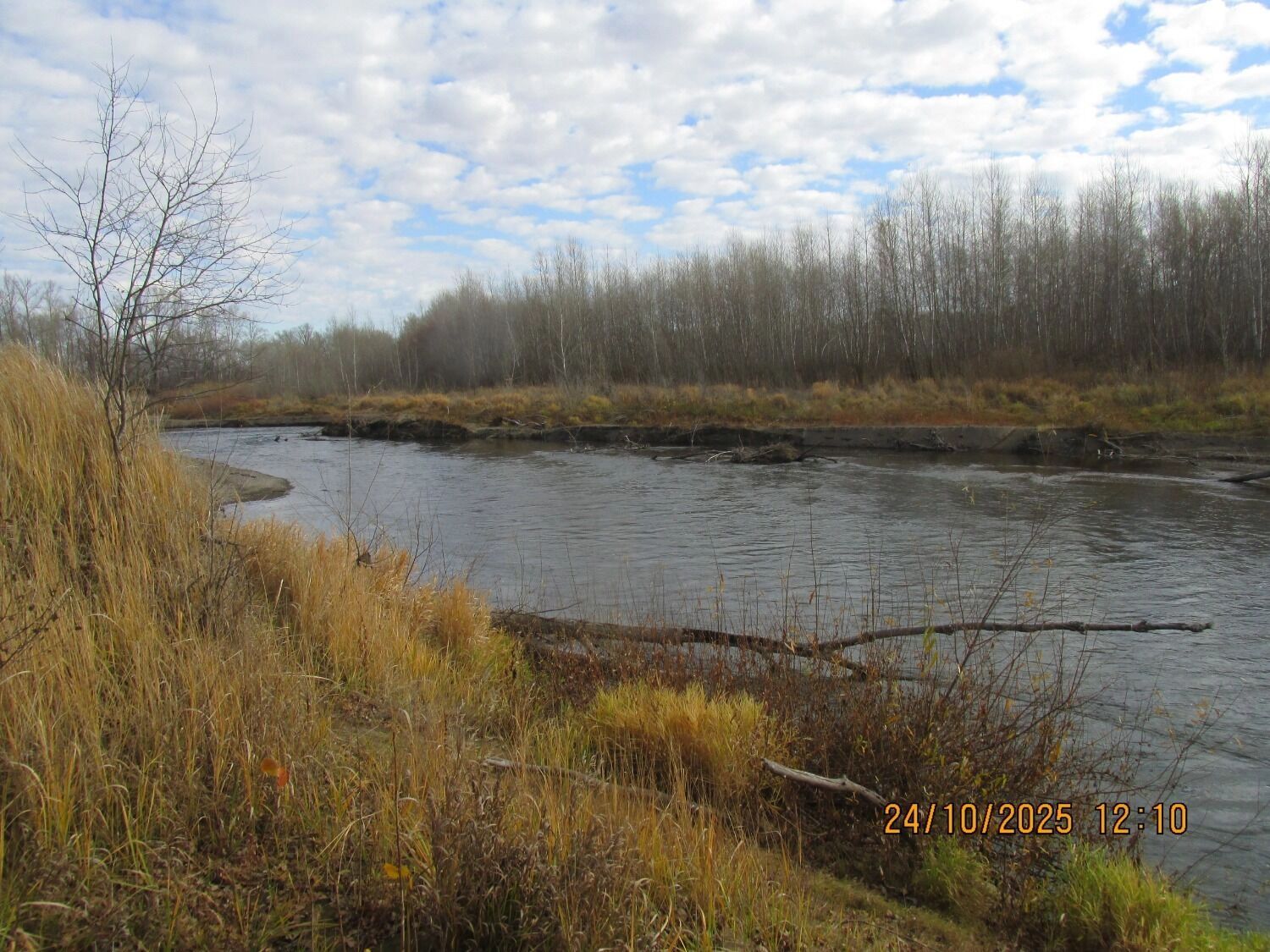 Грибы в октябре в Оренбургской области