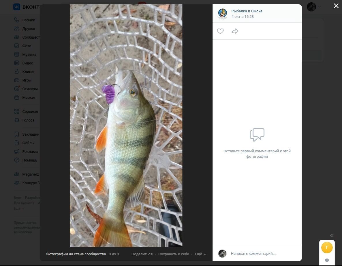 Городской улов