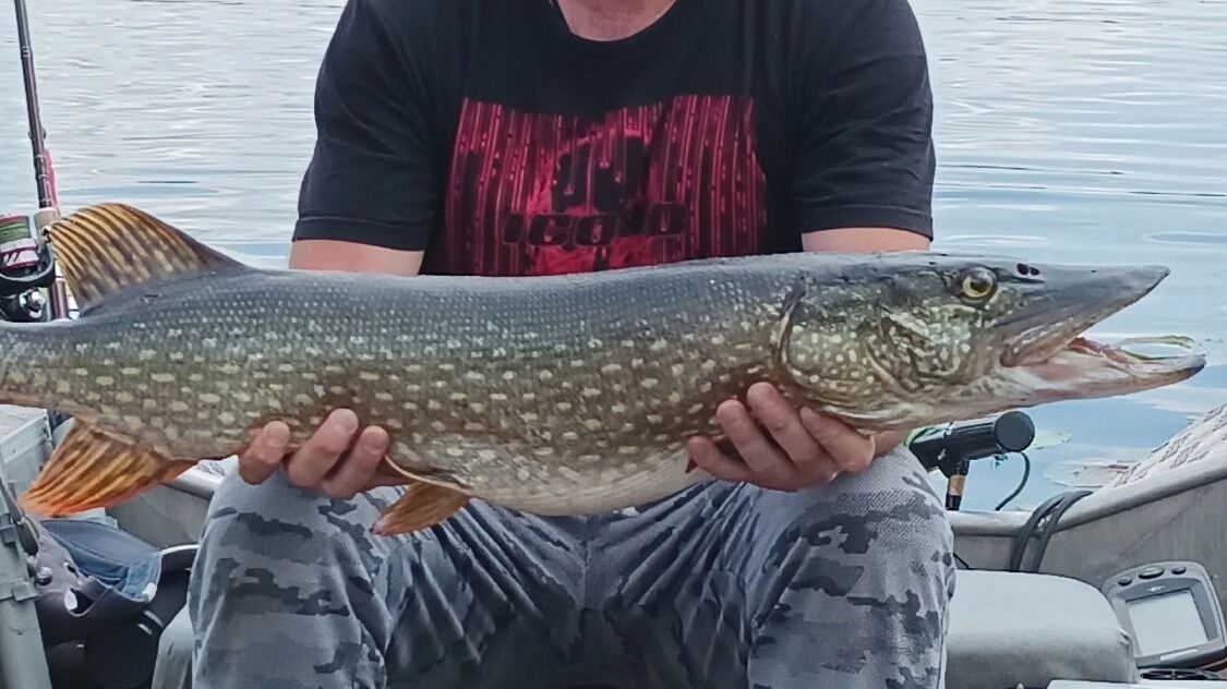 Нижегородец поймал щуку весом в&nbsp;5,8 кг