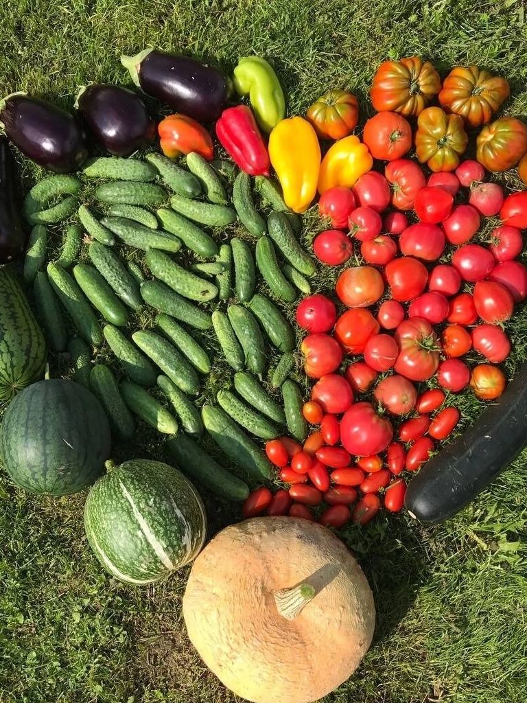 Богатый урожай нижегородки Натальи Волковой