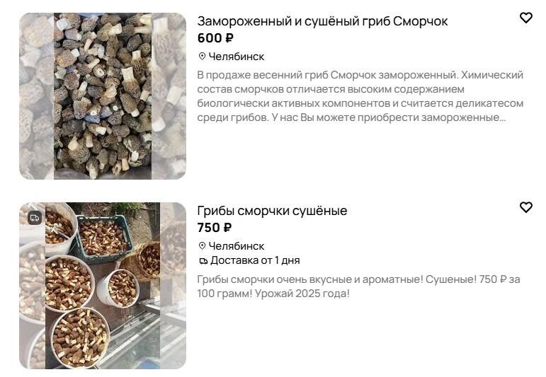 Сморчки продают только в сушеном виде