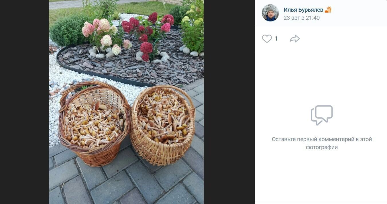 Грибной улов из&nbsp;Усть-Заостровки