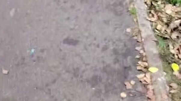 Предупредите детей об опасности: что стоит за взрывом в Красногорске