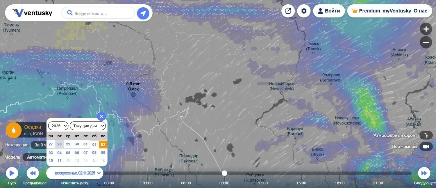 2&nbsp;ноября в&nbsp;Омске пойдет снег с&nbsp;дождем