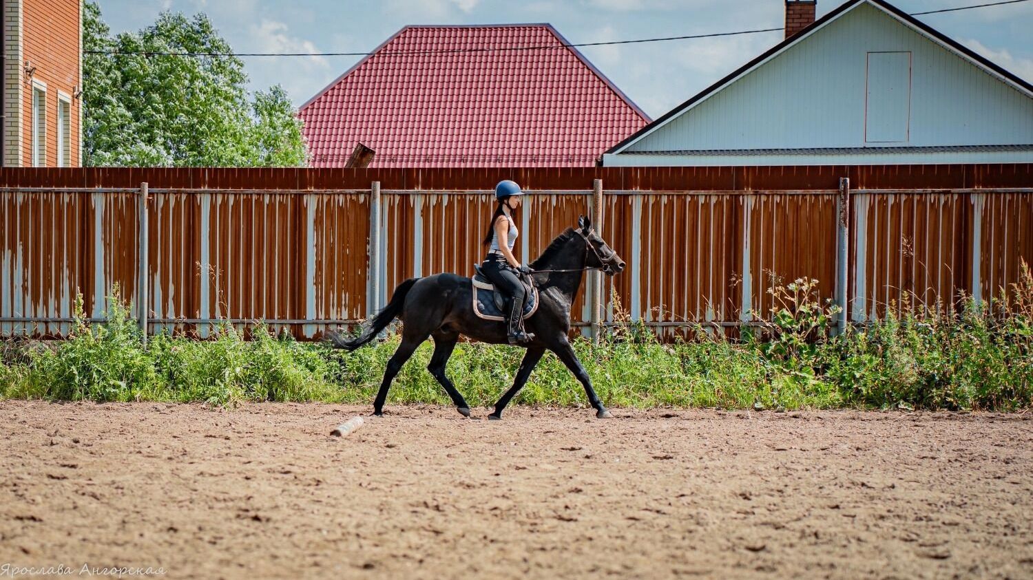 На фото: всадница на коне