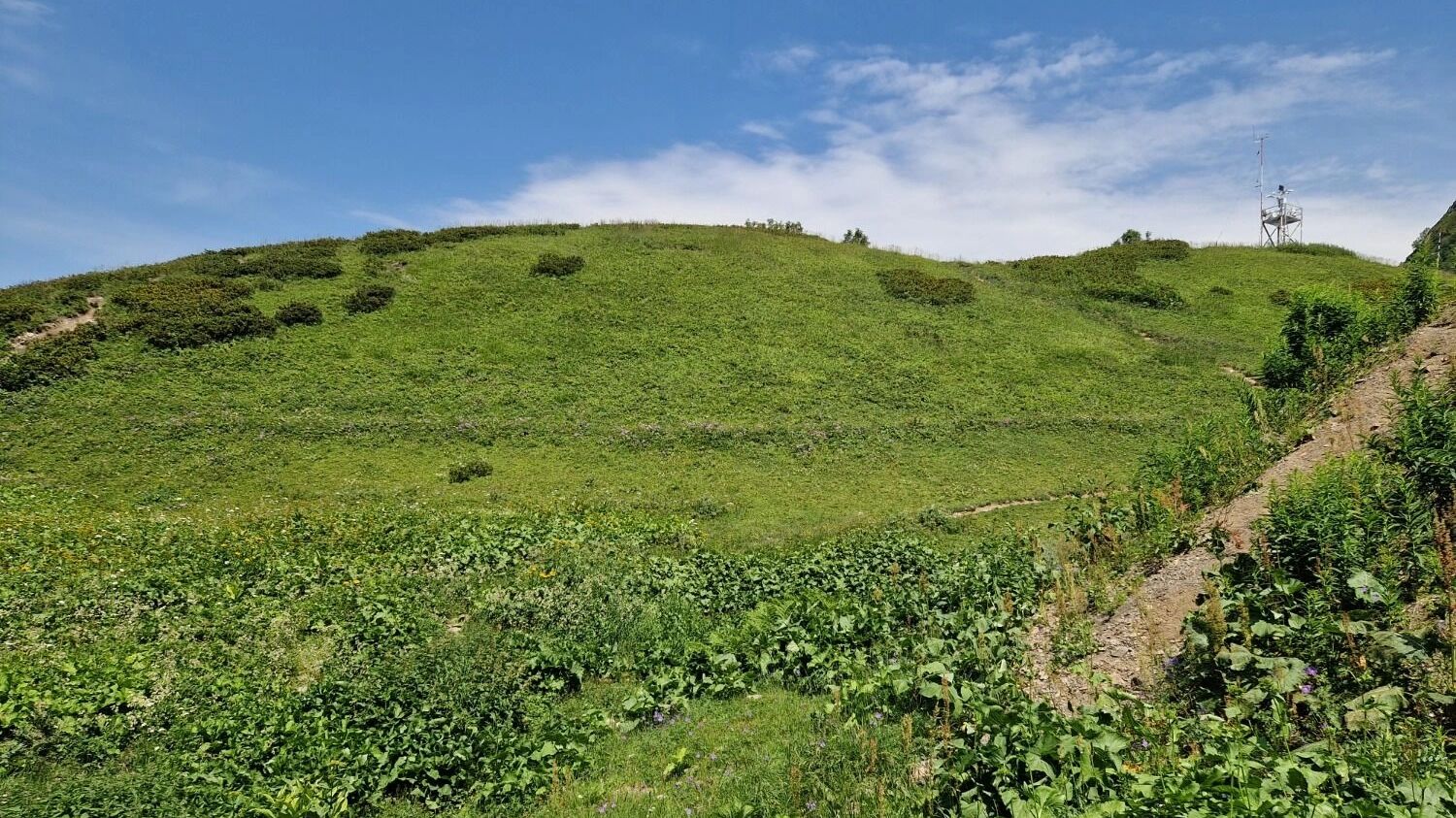 Курорт Красная Поляна, Сочи