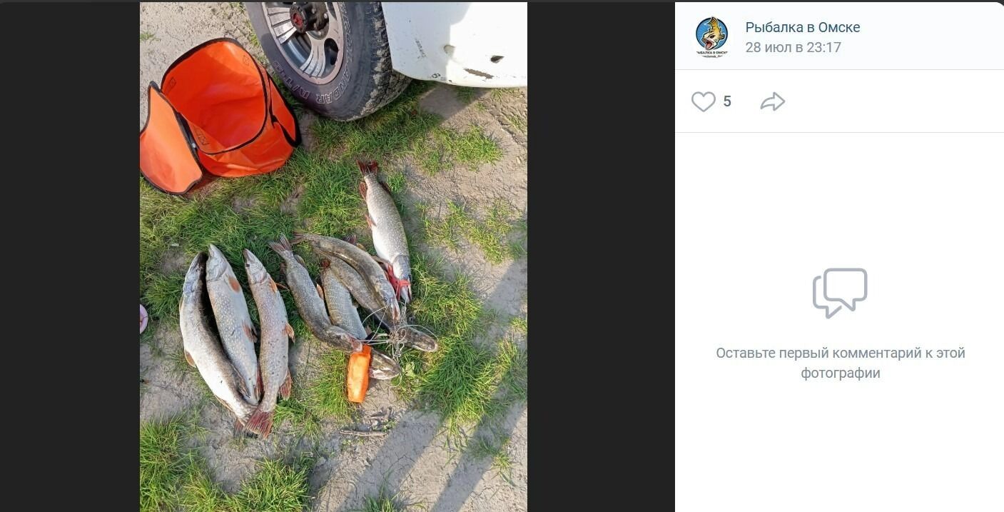 Улов на Иртыше на юге Омской области