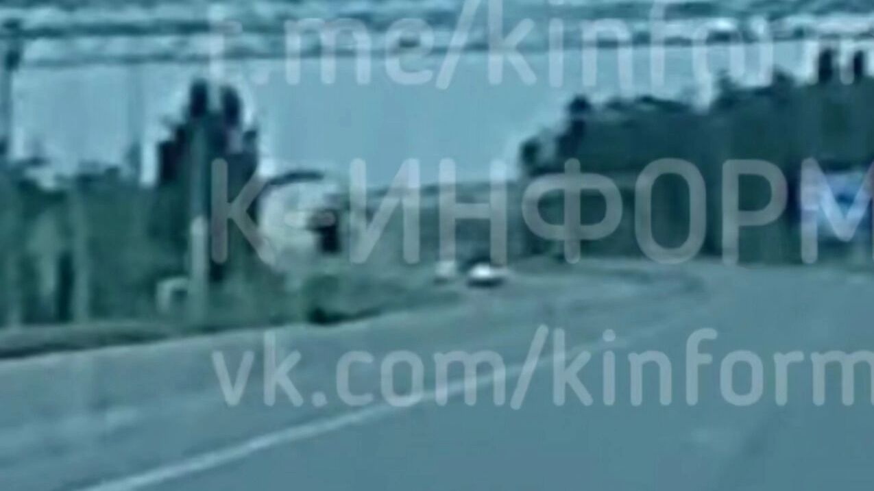 Медведь под Сургутом