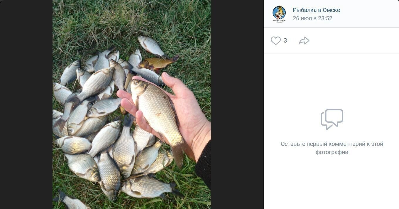 Удачный улов в районе Камышловки