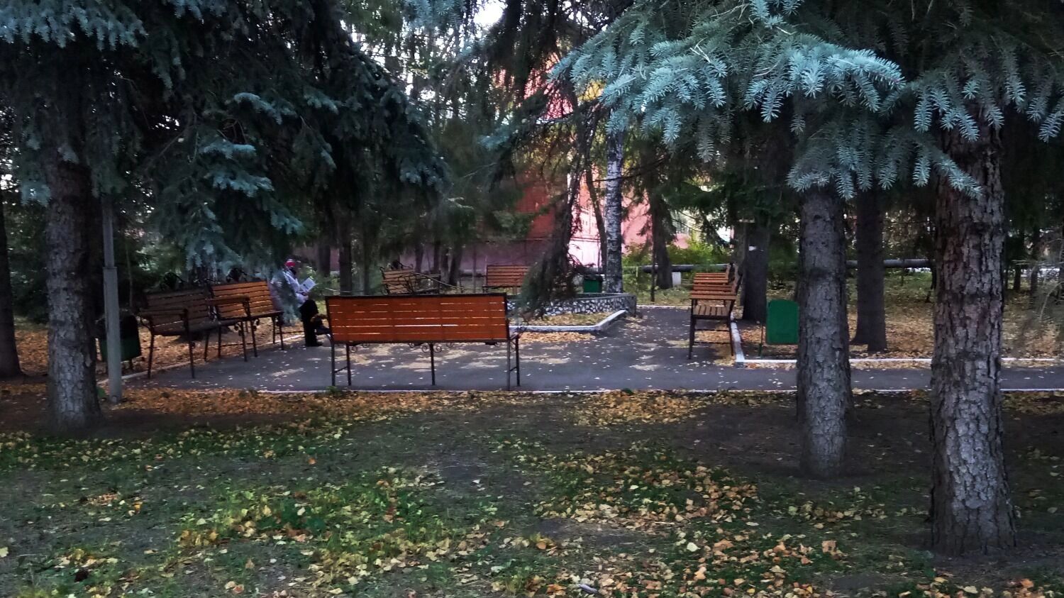 На фото: лавочки в парке